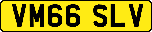 VM66SLV