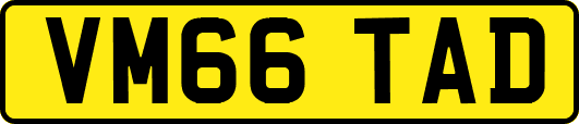 VM66TAD