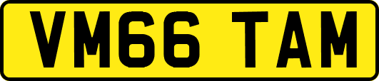 VM66TAM