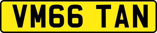 VM66TAN