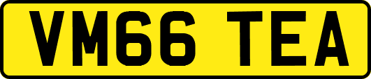 VM66TEA