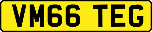 VM66TEG