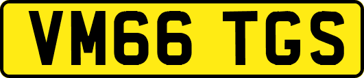 VM66TGS