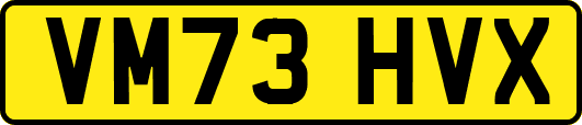 VM73HVX