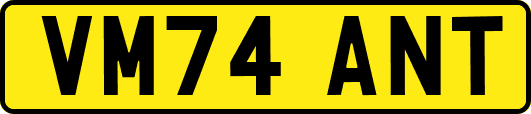 VM74ANT