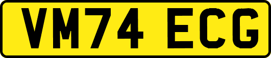 VM74ECG