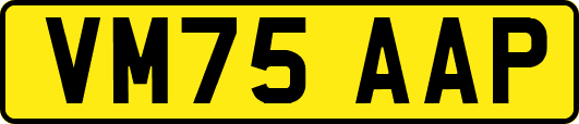 VM75AAP