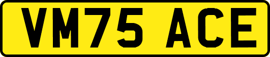 VM75ACE
