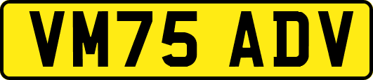 VM75ADV
