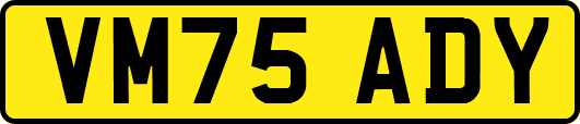 VM75ADY