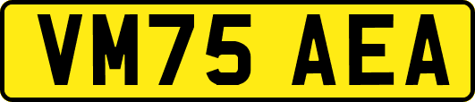 VM75AEA
