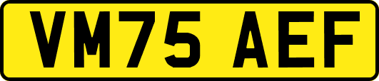 VM75AEF
