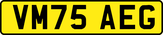 VM75AEG