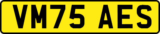 VM75AES