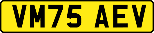 VM75AEV