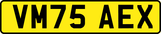 VM75AEX
