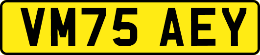 VM75AEY
