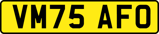 VM75AFO