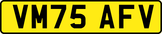 VM75AFV