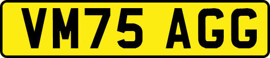 VM75AGG
