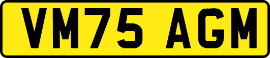 VM75AGM