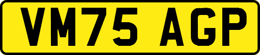 VM75AGP