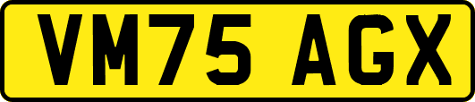 VM75AGX