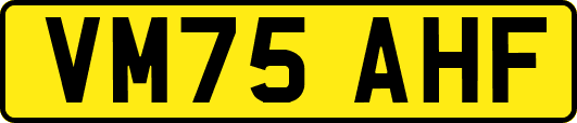 VM75AHF