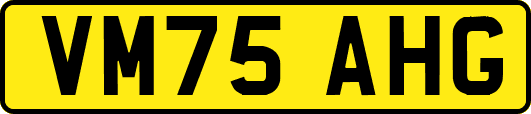 VM75AHG