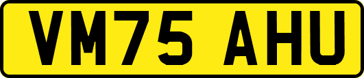 VM75AHU