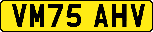 VM75AHV