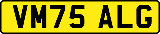 VM75ALG