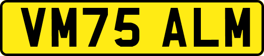 VM75ALM