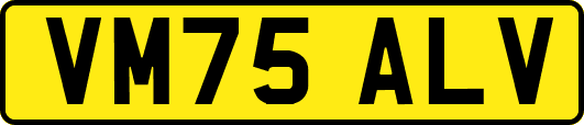 VM75ALV