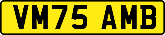 VM75AMB