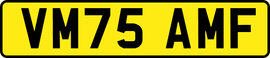 VM75AMF