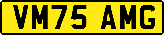 VM75AMG