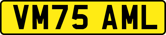VM75AML