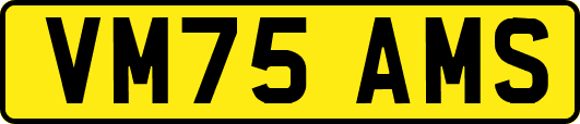 VM75AMS