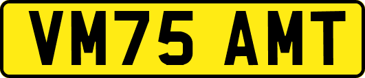 VM75AMT