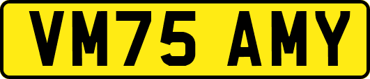 VM75AMY