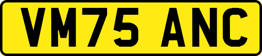 VM75ANC
