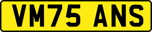 VM75ANS