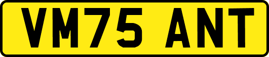 VM75ANT