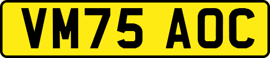 VM75AOC