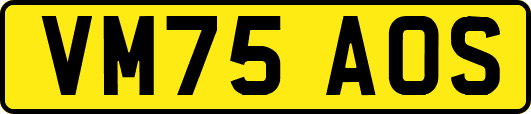 VM75AOS