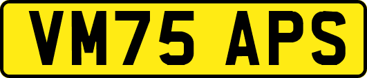 VM75APS