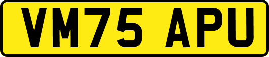 VM75APU