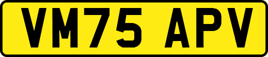 VM75APV