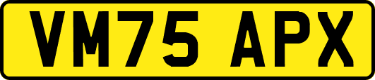 VM75APX